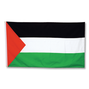 PalestineFlagBig08